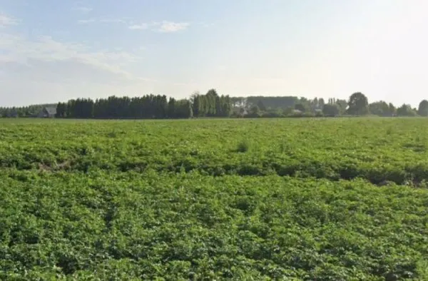 Terrain 489 m²