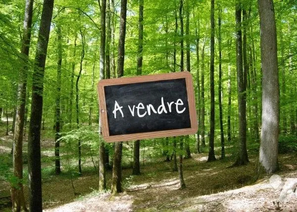 Terrain 108540 m²