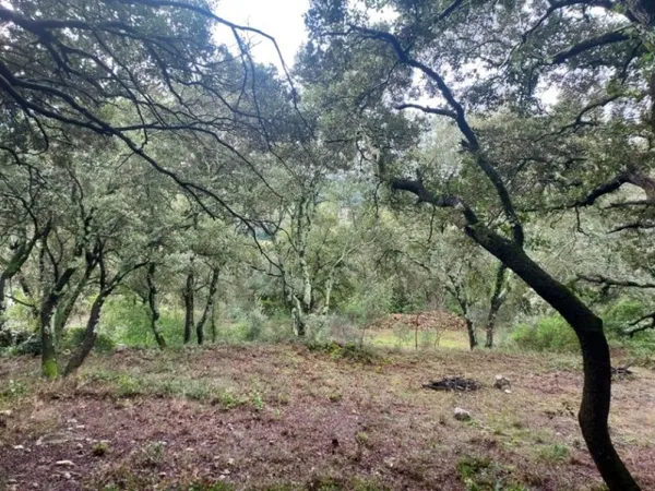 Terrain 854 m²