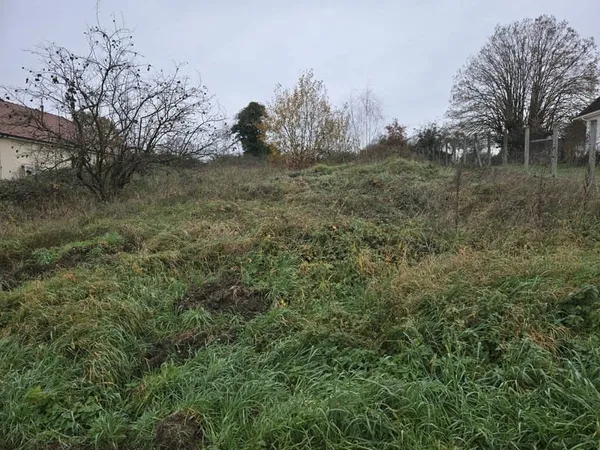 Terrain à vendre Montiéramey