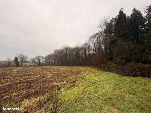 Terrain boisé 4300m2 - Guilliers