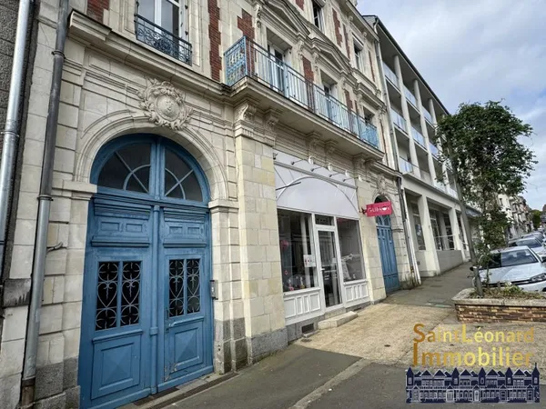 Immobilier Professionnel à vendre Fougères