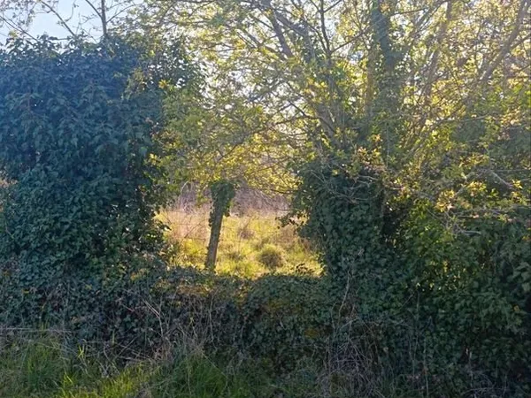 Terrain agricole