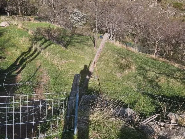 A vendre terrain agricole