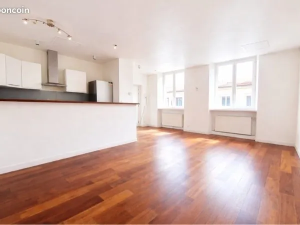 T3 duplex rénové lumineux 63m²