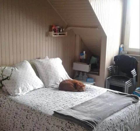 Appartement Malo / Rosendaël