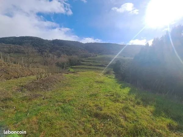 Terrain 2 499 m² Gervans