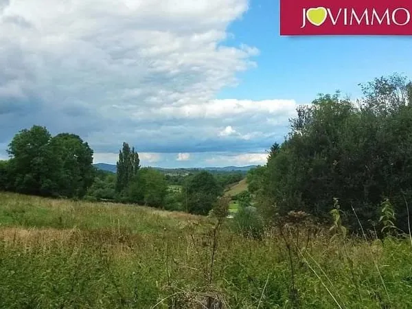 Terrain 2319 m²