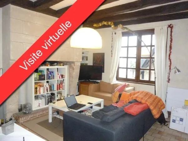 Grand studio proche Plumereau