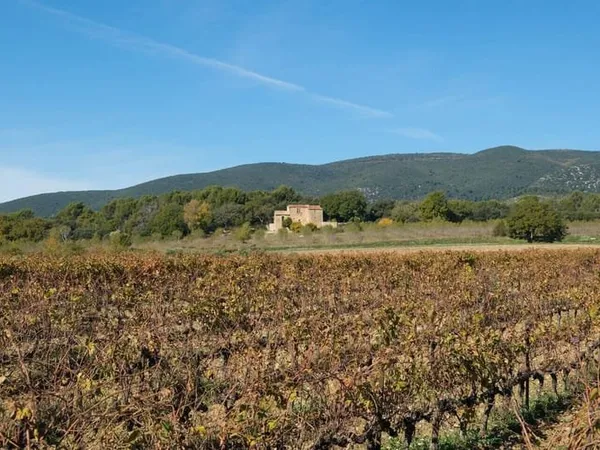 Maison 12 pièces 479 m²