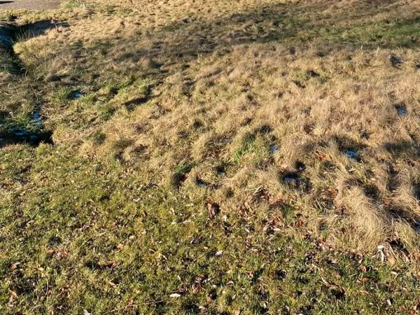 Terrain constructible