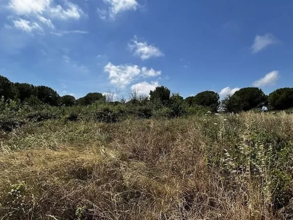Terrain 1248 m²