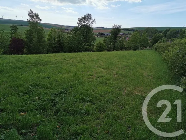 Terrain 784 m²