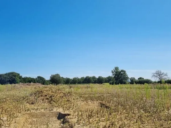 Terrain à batir de 601m²