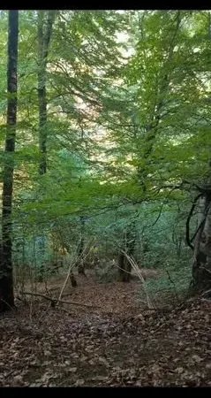 2 Terrains en Ariège en montagne