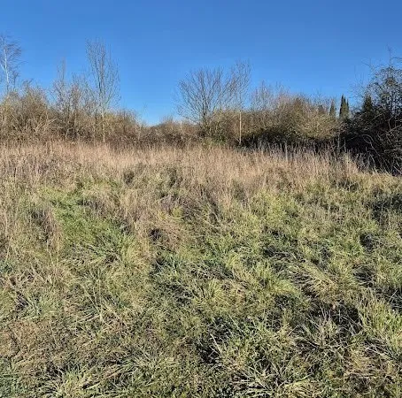 Terrain 461 m²