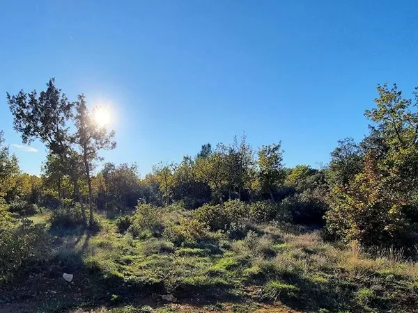 Terrain 73730 m²