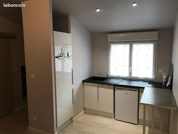 Studio indépendant rénové - Tram à 50m - Calme + emplacement lave-linge