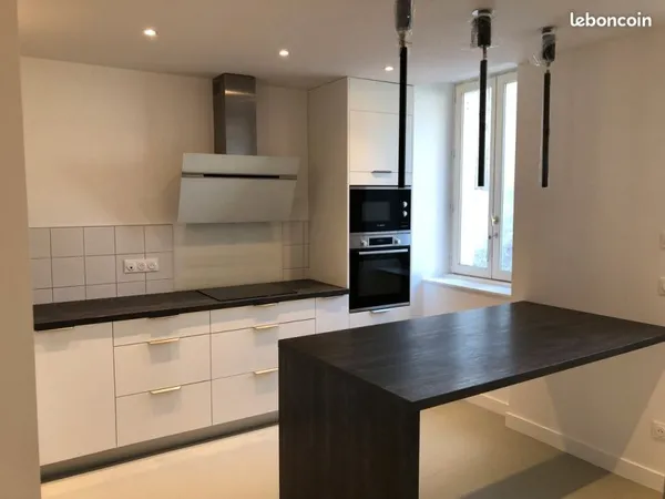 DUPLEX 140m2 + pkgs PAU CENTRE VILLE