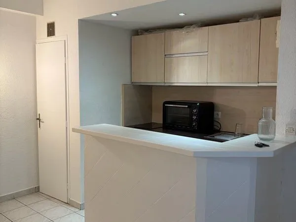 Location appartement meublé Lyon 69007