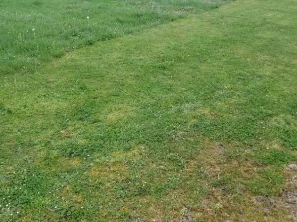 Terrain 600 m²