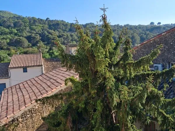 Appartement Vente Alleins  45m² 85000€
