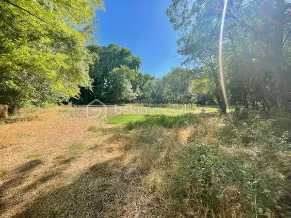 Terrain 6013 m²