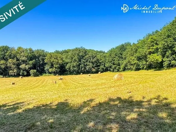 Terrain constructible de 4 986 m² à Limeuil - Vue dégagée et cadre naturel privilégié