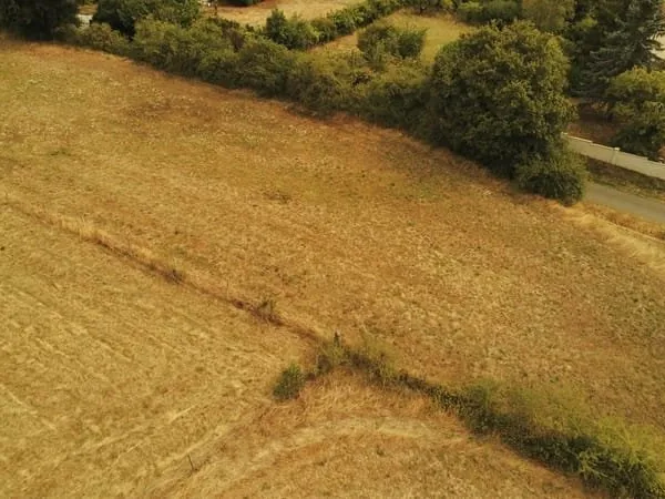 Terrain à bâtir Vente Brugheas  2242m² 99000€