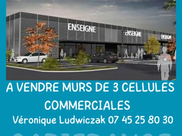 Immeuble à vendre MONTIGNY EN OSTREVENT (59)