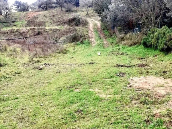 Terrain constructible 6381m2