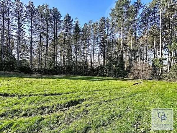 Terrain 999 m²