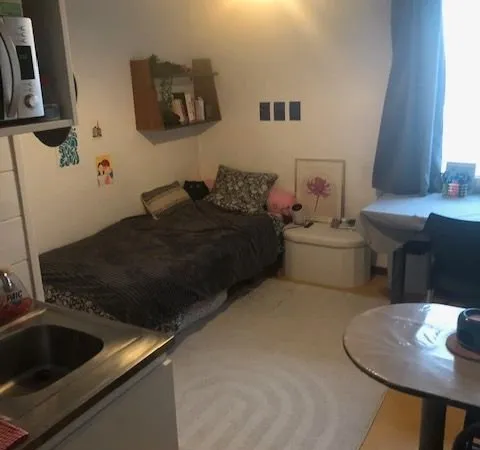 Studio 1 pièce 19 m²