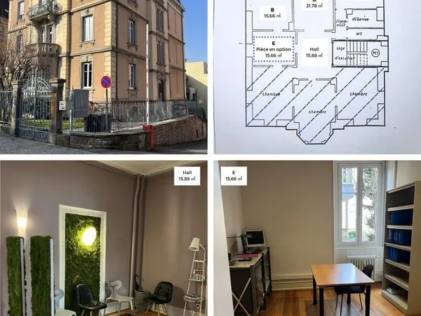 Local professionnel - a louer - colmar