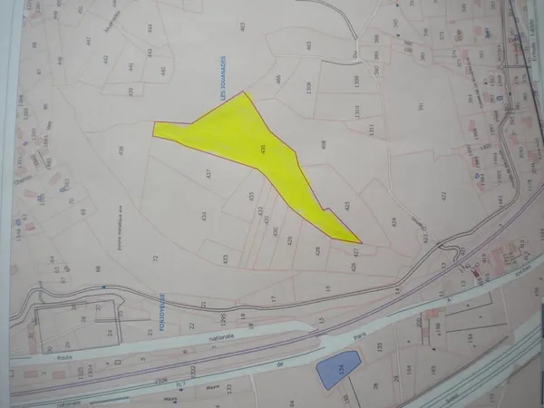 Terrain boisé