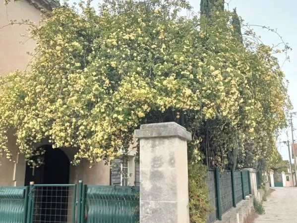 Location meublé étudiant dans Mas - proximité Agroparc
