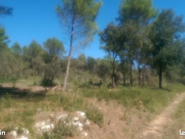 Terrain à FONTANES (30250) de 10 000 m2 à louer