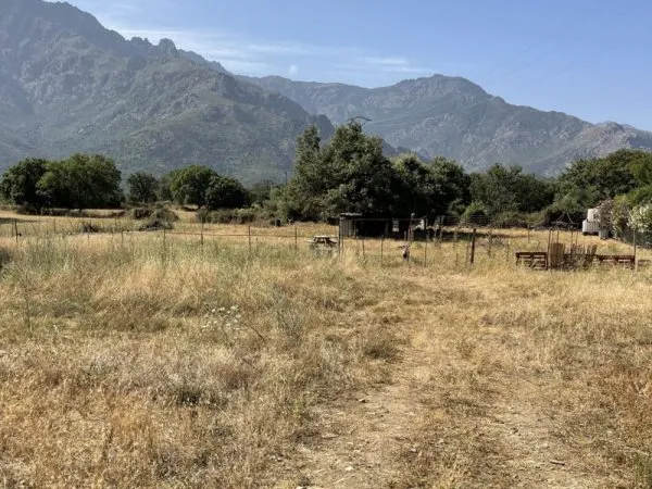 TERRAIN constructible 2790 m2