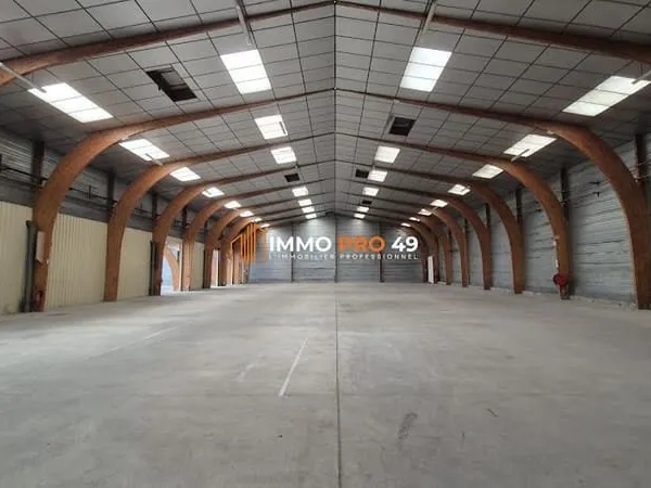 Local 3000 m²
