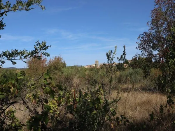 Terrain en individuel 2070 m²