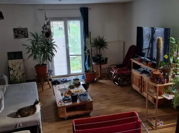 Immeuble 0 pièces