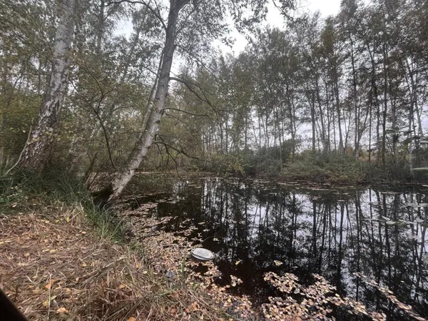 GRAND ETANG