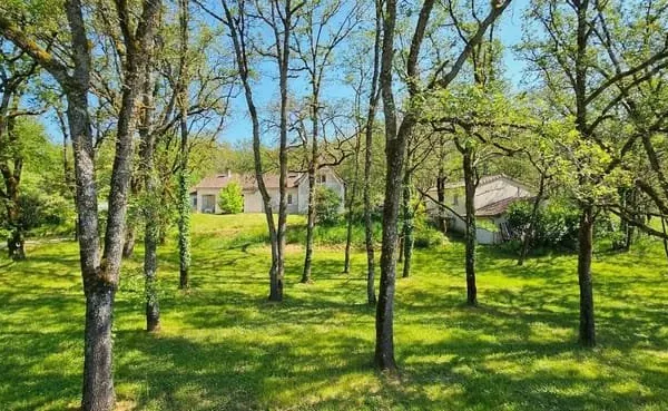 Propriété - 8 chambres - Écrin de verdure - Lot 46