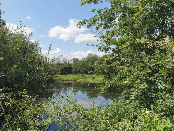 ETANG ROMORANTIN AVEC UNE PARTIE CONSTRUCTIBLE