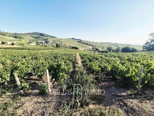 AOP Fleurie secteur Poncié