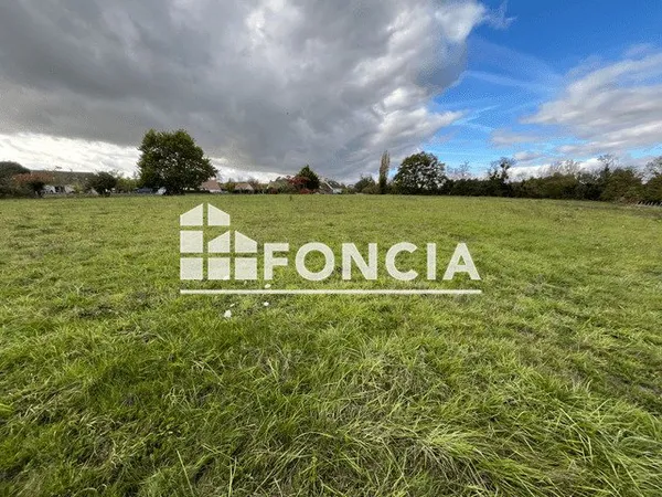 Terrain agricole