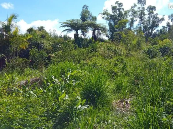 Terrain 781 m² La Plaine-des-Palmistes