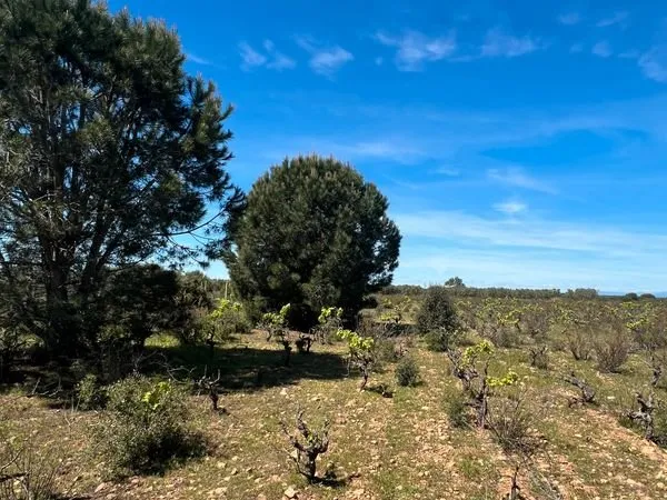 Terrain agricole