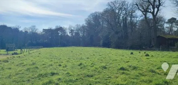Terrain 3601 m²