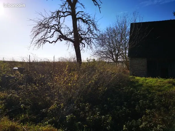 Maison 6 pièces 365 m²